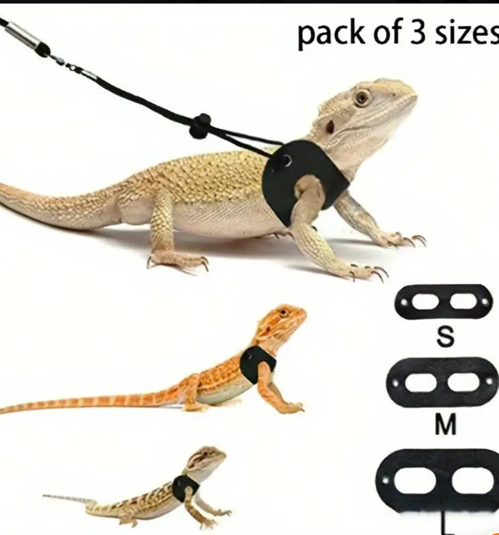 Bearded Dragon Harness 3 Size Set