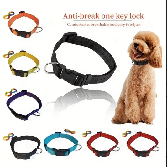 Classic Dog Collar - Quick Release Buckle