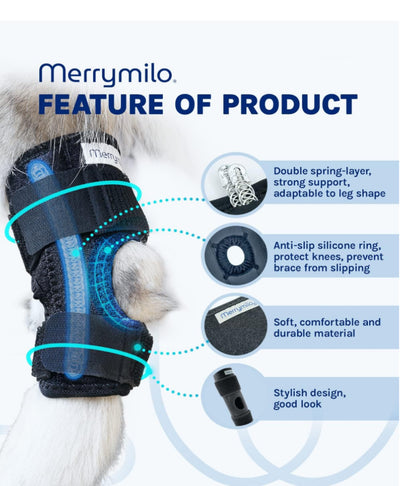 Merrymill Leg Brace