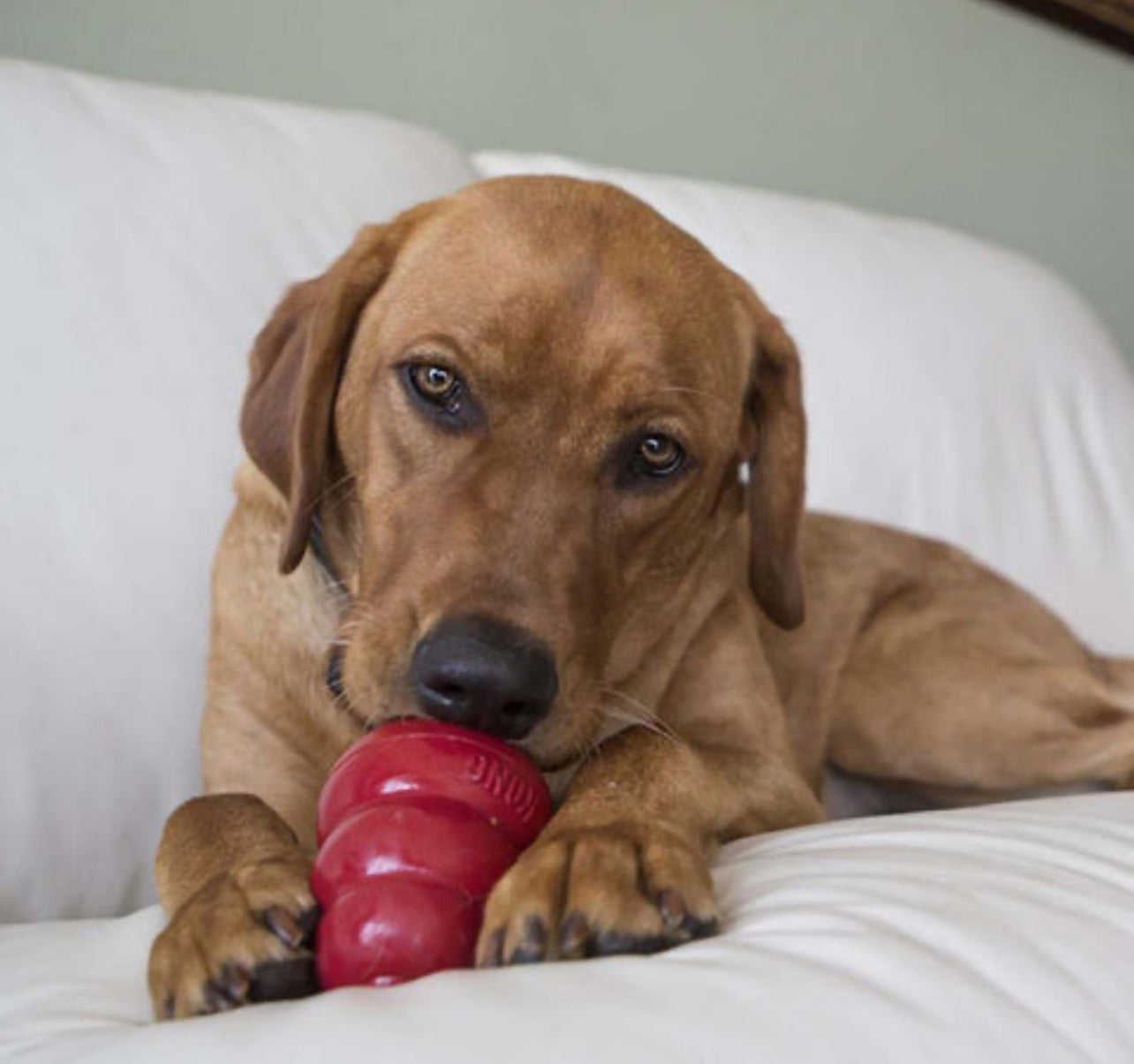 KONG Snacks Peanut Butter