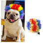 Clown Pet Wig Hat