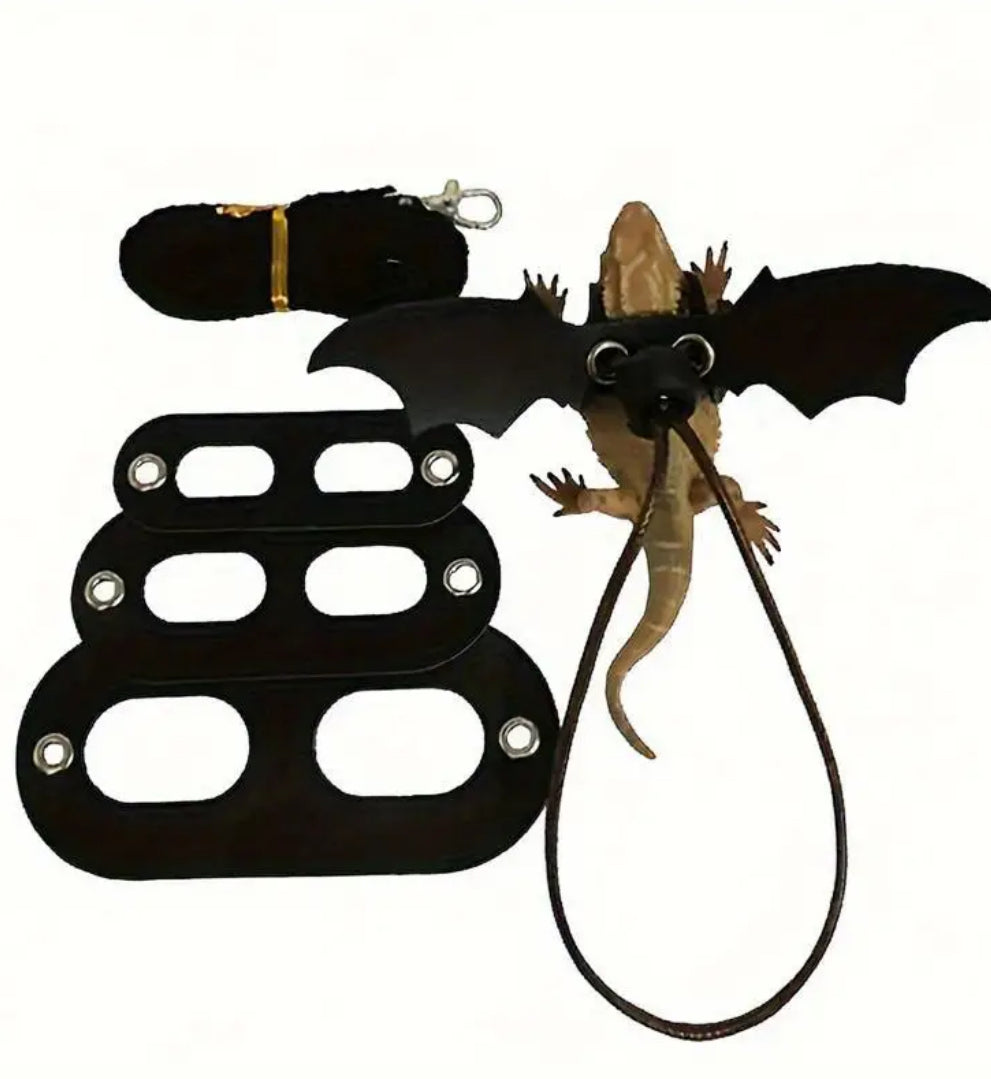 Bearded Dragon Harness 3 Size Set