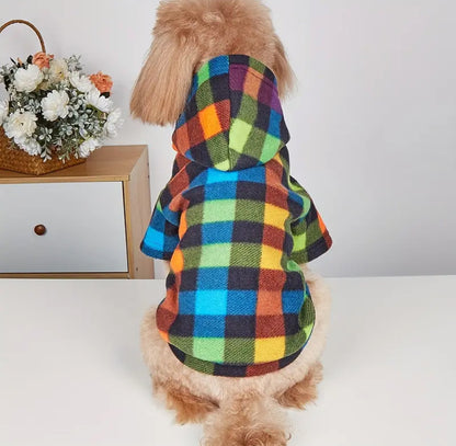 Multicolor Hooded Sweatshirt- Hoodie