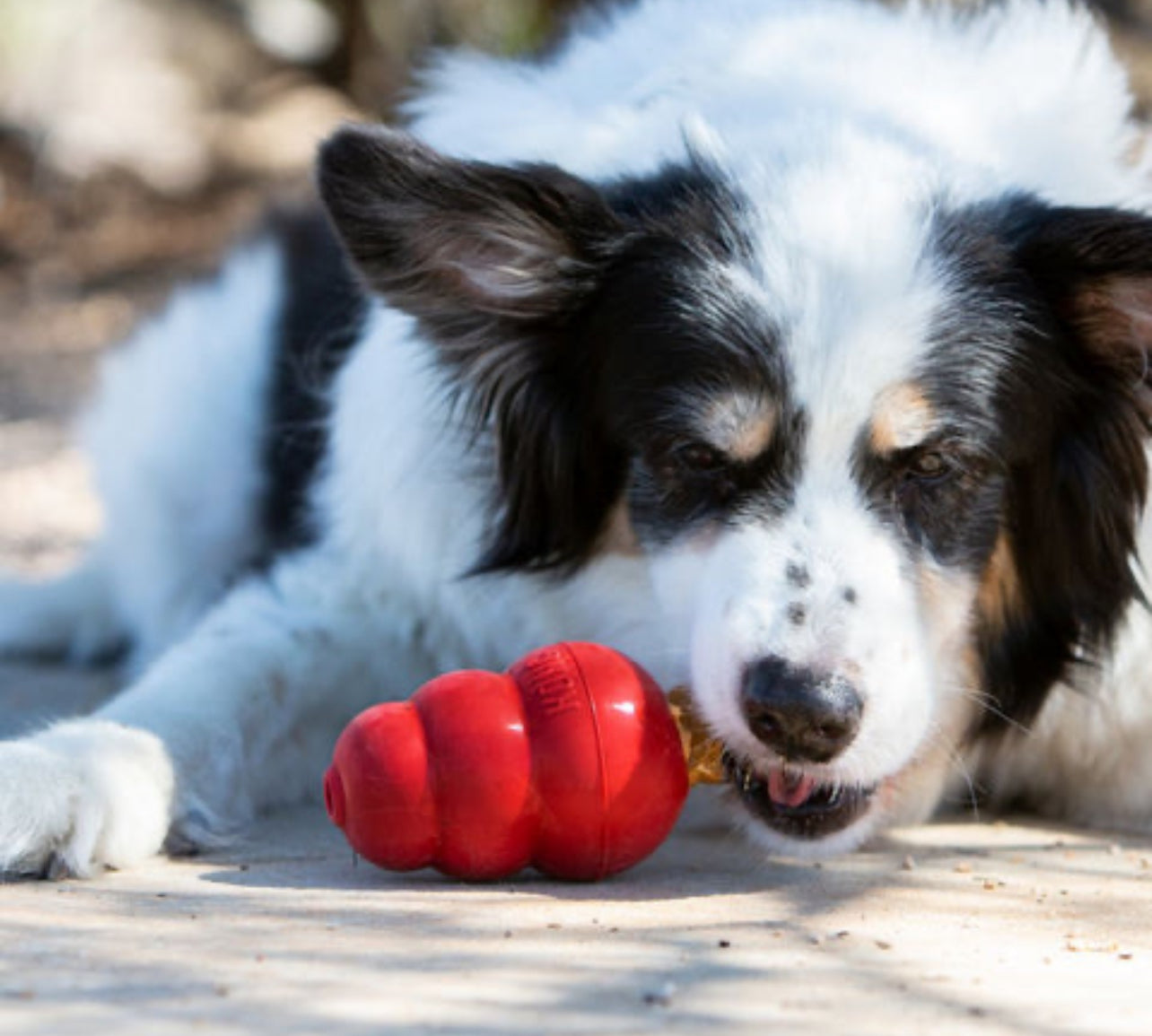 KONG Snacks Peanut Butter