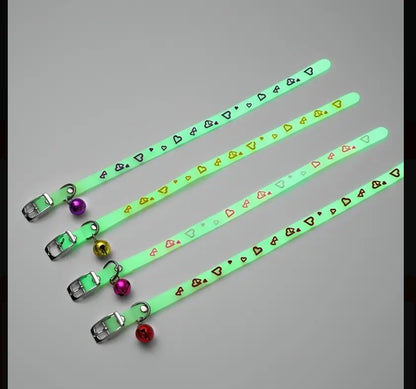 Glow In The Dark Collar