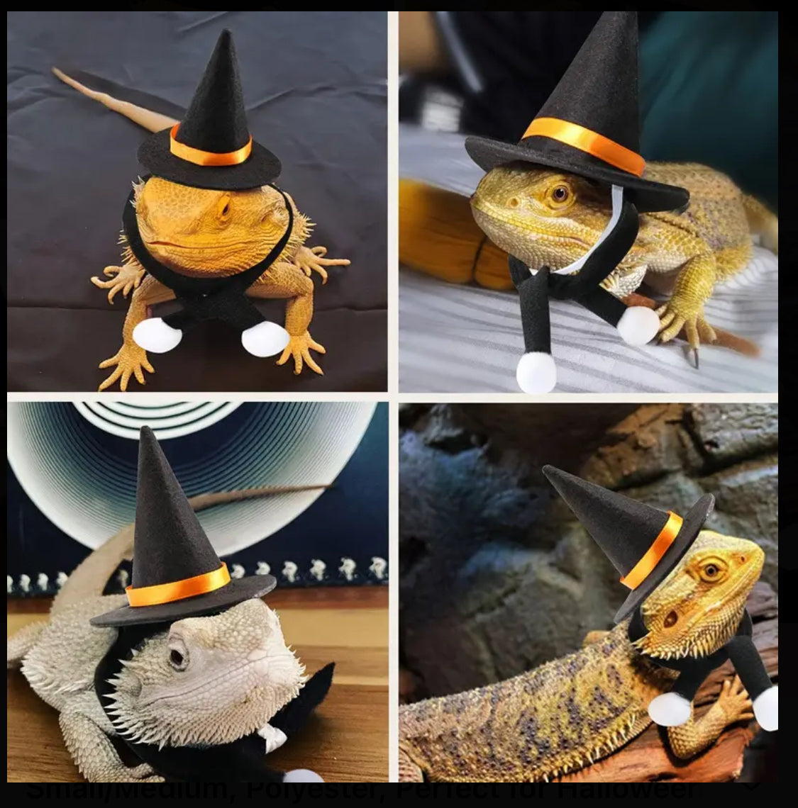 Amphibian Reptile Hat Set