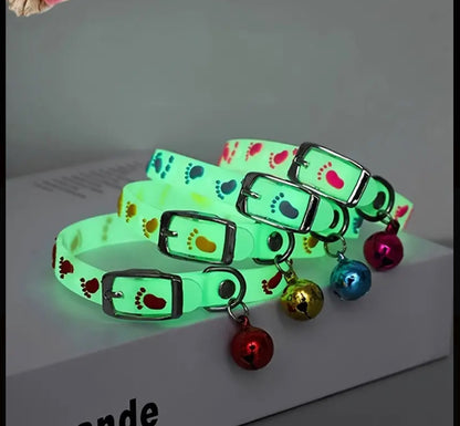 Glow In The Dark Collar