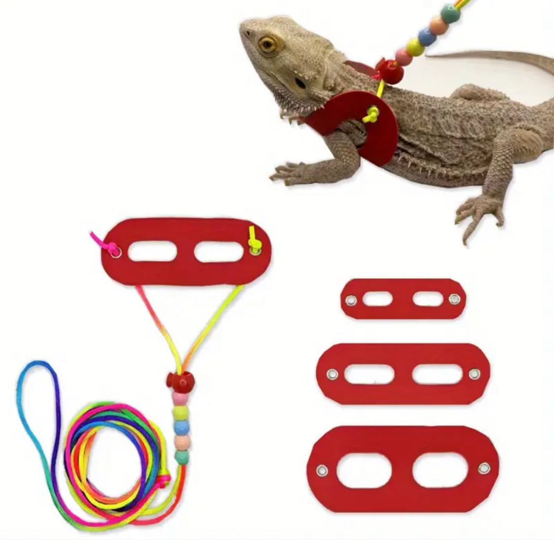 Bearded Dragon Reptile Harness - 3 Piece Set