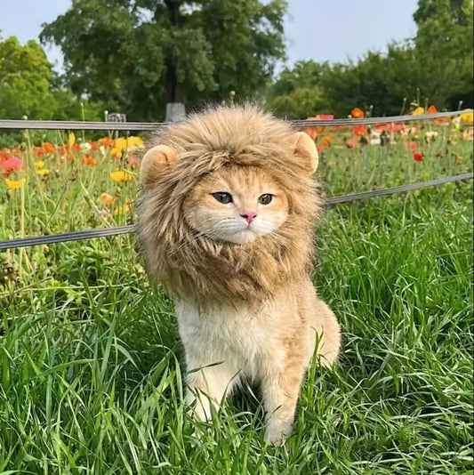 Lion Mane Hat- Large