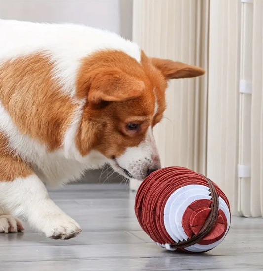 Football Snuffle Mat