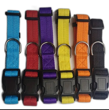 Classic Dog Collar - Quick Release Buckle