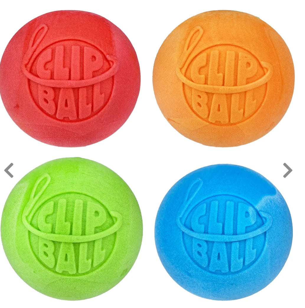 Clip-On Ball Dog Toy