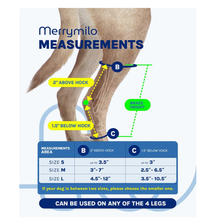 Merrymill Leg Brace