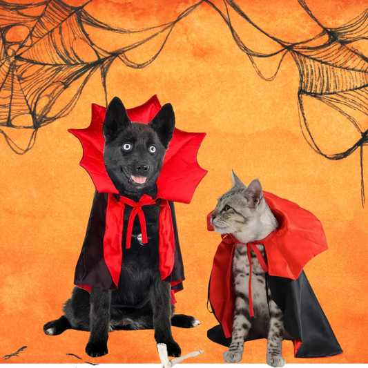 Vampire Coat For Pets