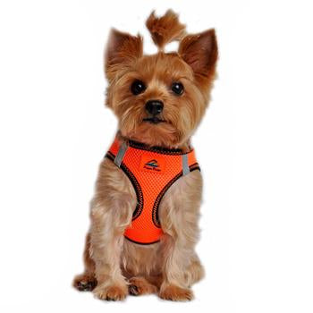 American River Top Stitch Dog Harness - Iridescent Orange - 3X-Large