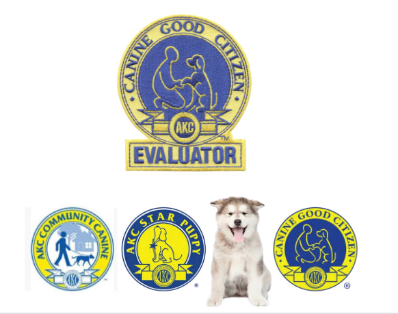 Pups Path AKC Canine Good Citizen Class (Level 1) AND Community Canine Good Citizen (Level 2)