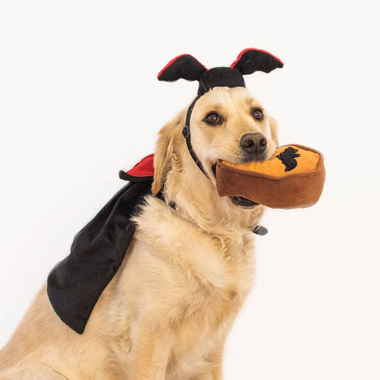 Zippy Paws Halloween Costume Kit Dracula