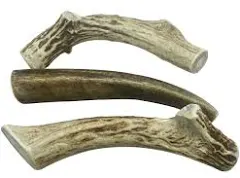 Deer Antler