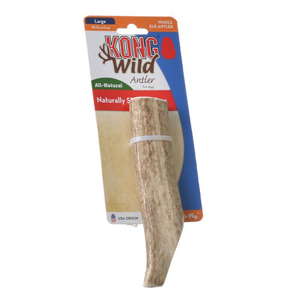 Kong Wild Whole Elk Antler Dog Chew - [pups_path]