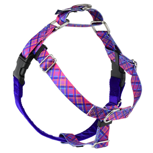 EarthStyle Neon Sunrise Freedom No-Pull Harness Only