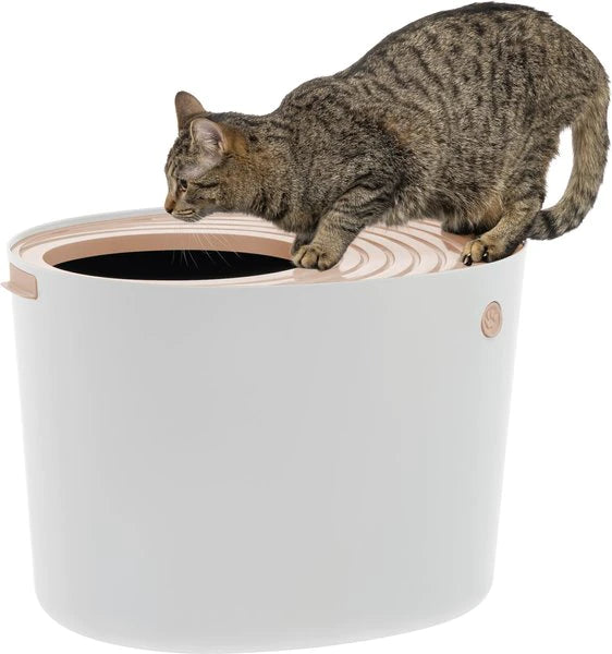 Top Entry Litter Box