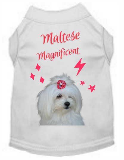 Magnificent Maltese Set