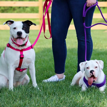 Coastal Single-Ply Nylon Leash