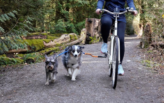 Dog Coupler For Biking & Walking (Bike Tow Leash)