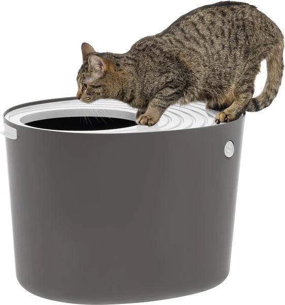 Top Entry Litter Box