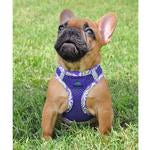 American River Choke Free Harness Hawaiian Trim