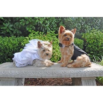 Dog Wedding Harness Dress Set