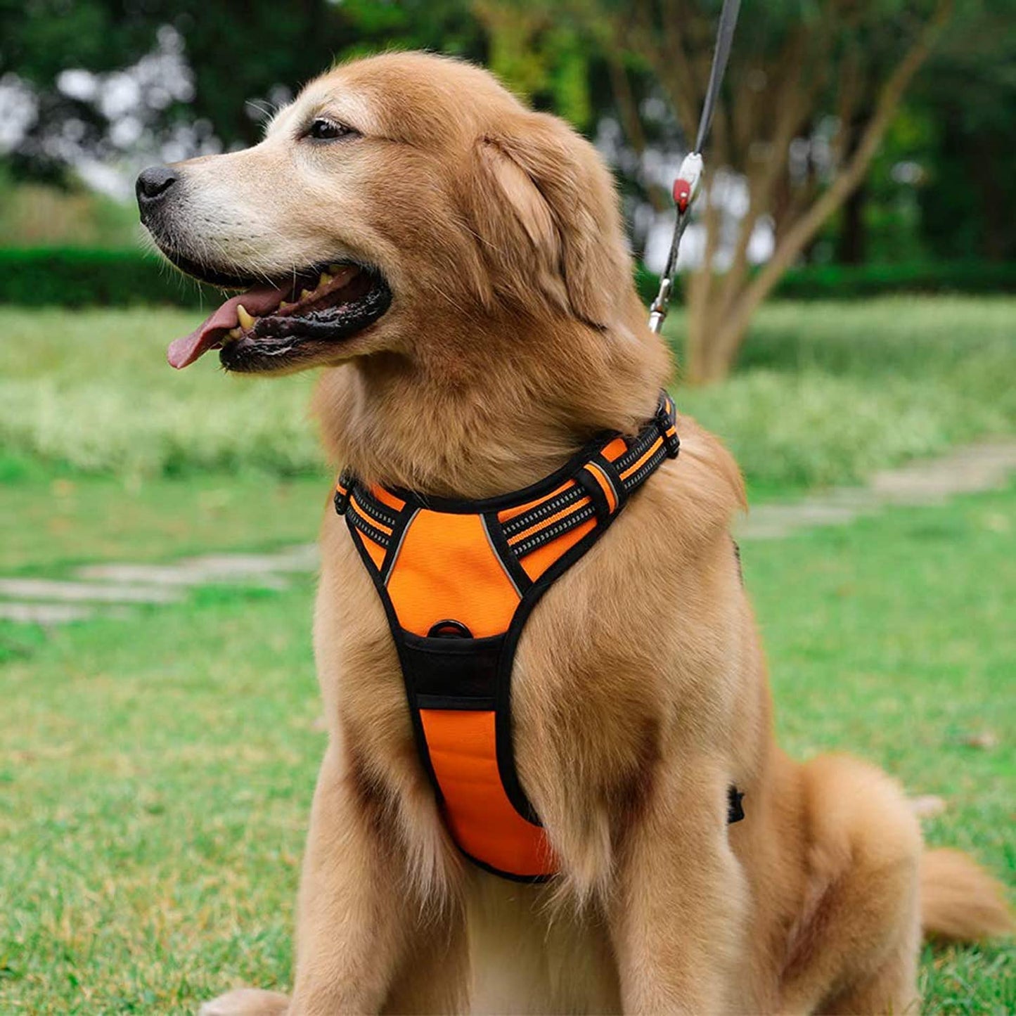 Rabbitgoo Dog Harness - No Pull Medium