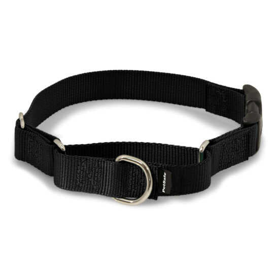 PetSafe Premier Martingale Collar with Quick Snap Buckle