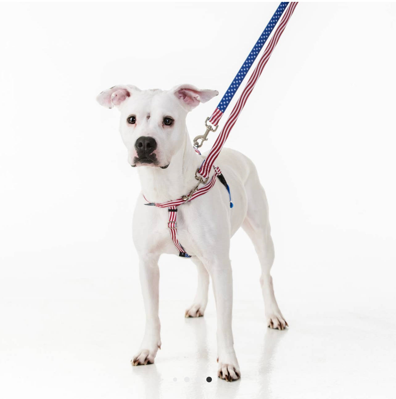 Purple Freedom No-Pull Dog Harness