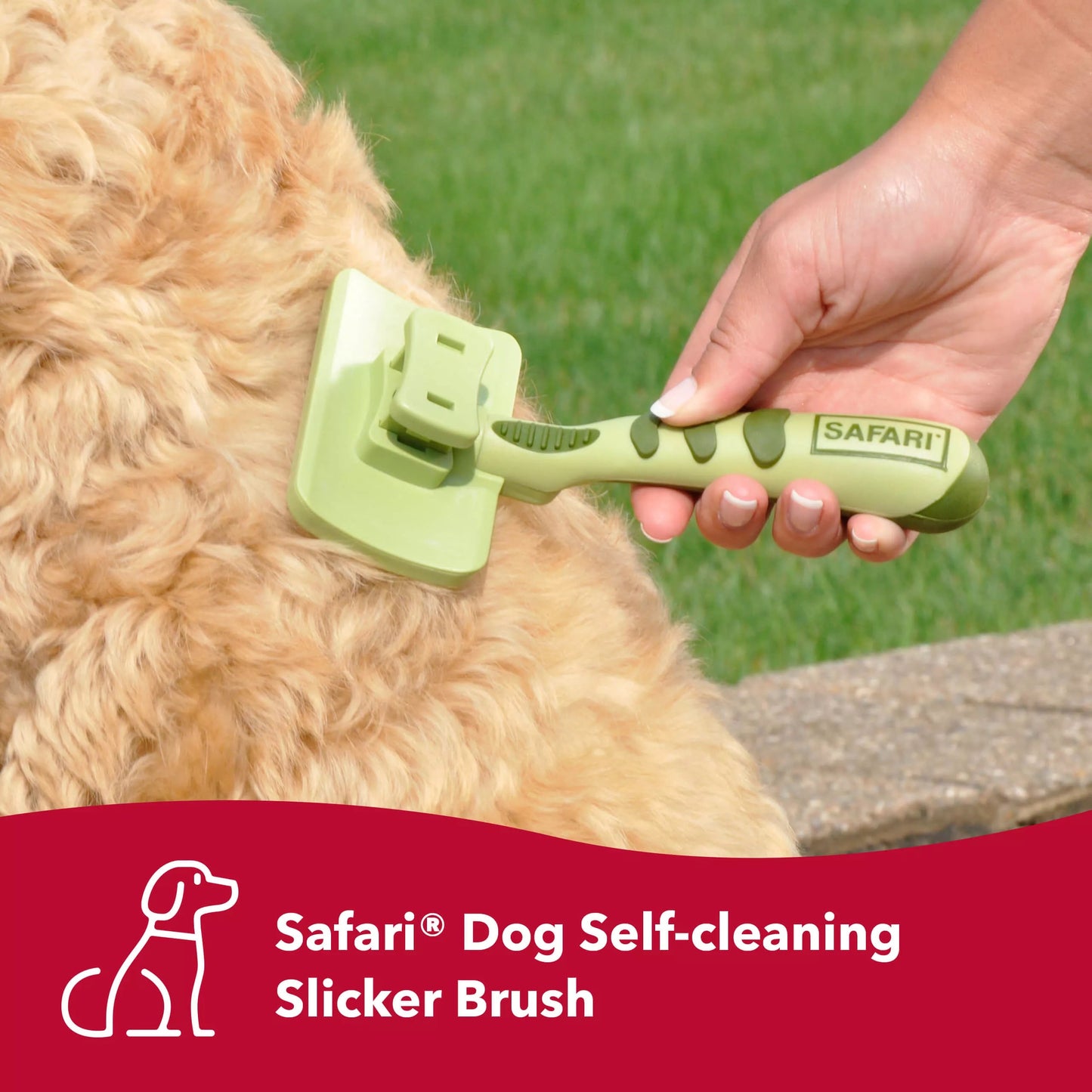 SAFARI Self Cleaning Slicker For Medium Dogs