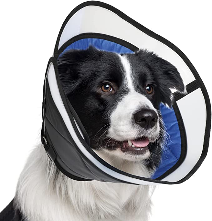 Manificent Dog Cone Collar