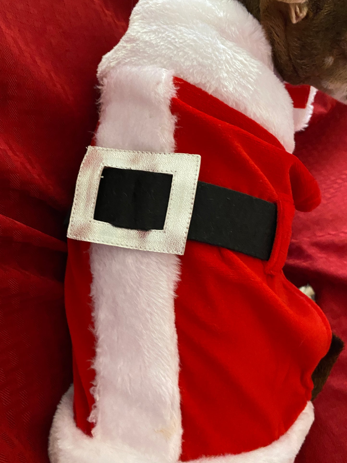 Santa Suit