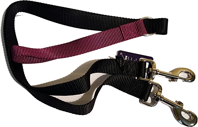 2 Hounds Design Leash