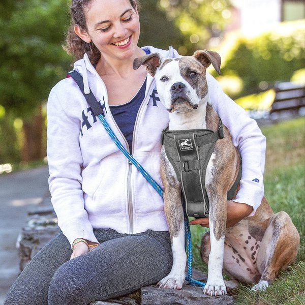 Kurgo Tru-Fit Smart Harness