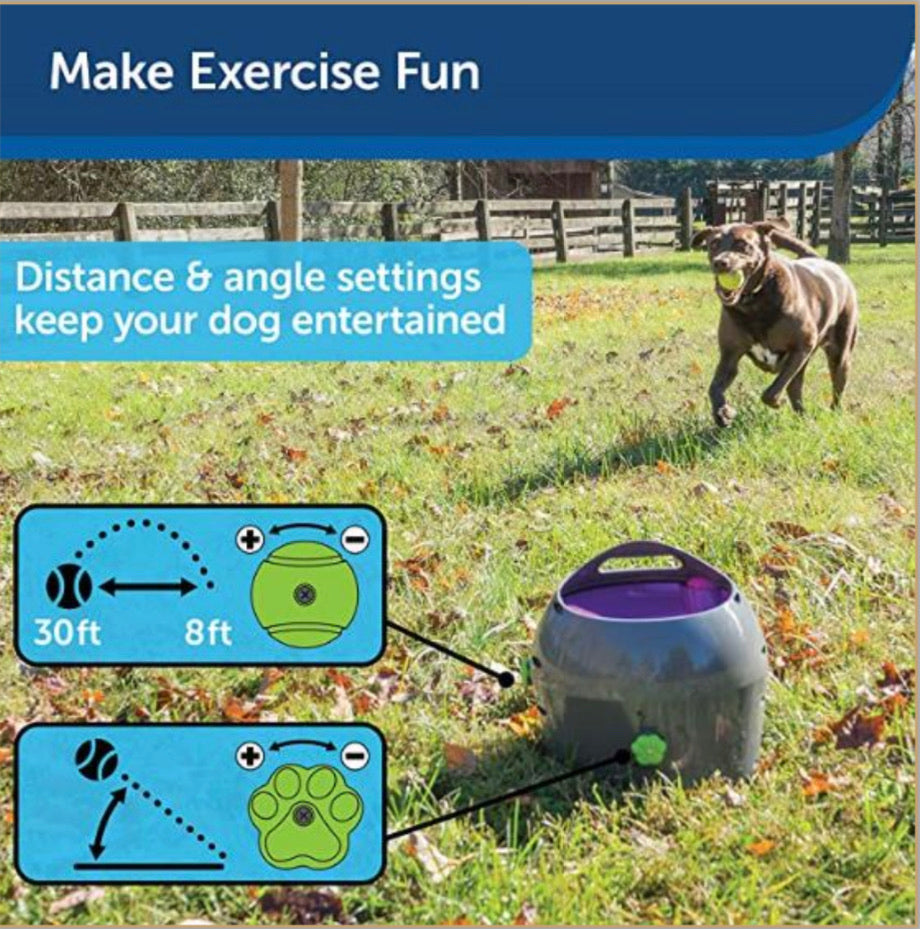 Automatic Ball Launcher by PetSafe