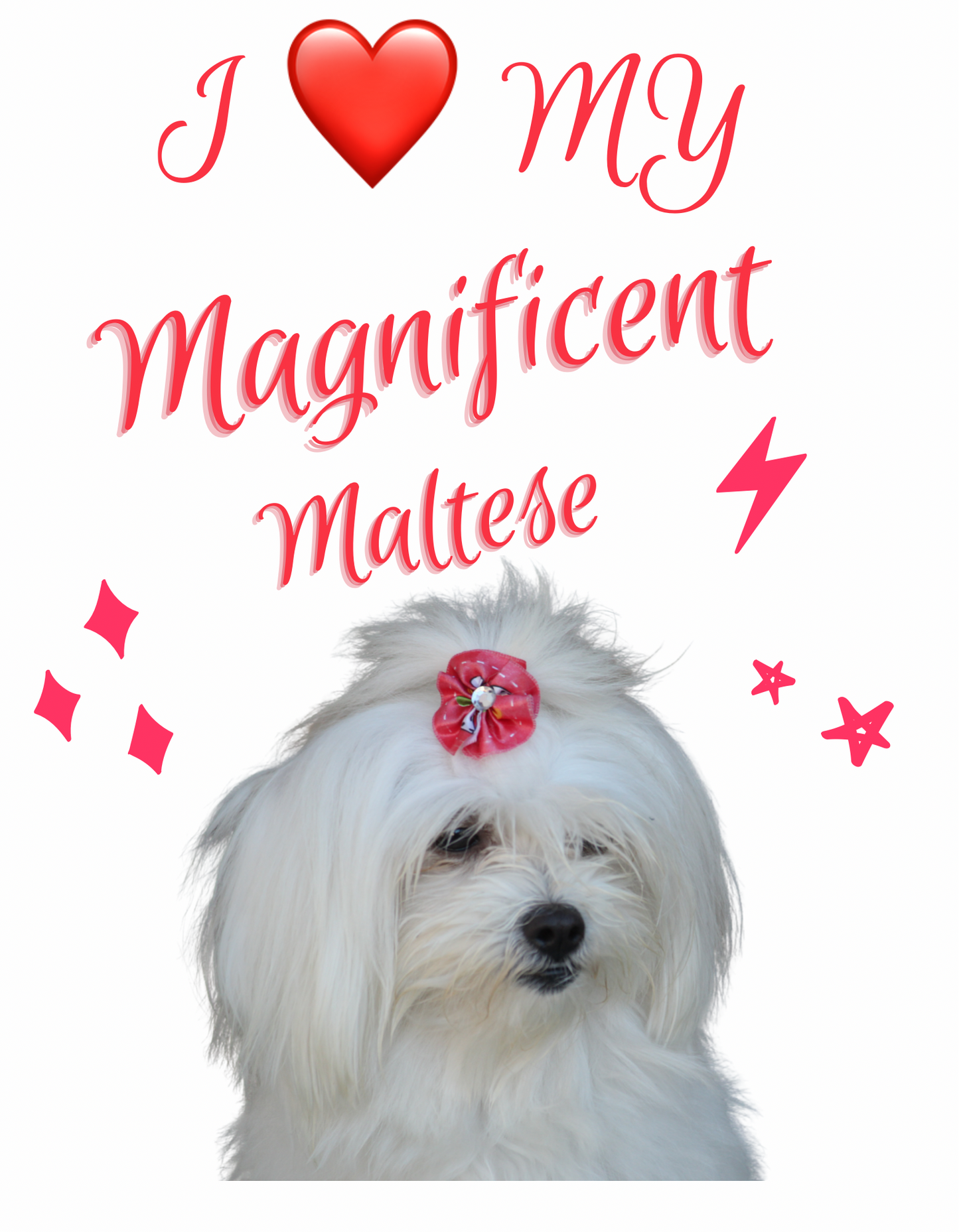 Magnificent Maltese Set