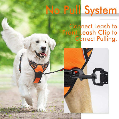 Rabbitgoo Dog Harness - No Pull Medium