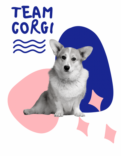 Team Corgi Set