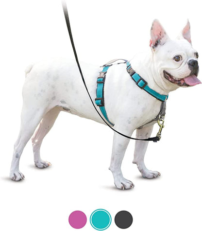 PetSafe 3 in 1 Dog Harness