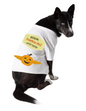 Official Pumpkin Spice Latte Tester (Pet Shirt)