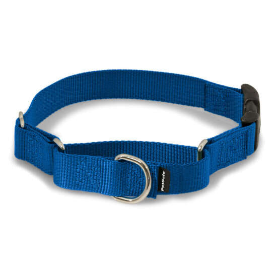 PetSafe Premier Martingale Collar with Quick Snap Buckle