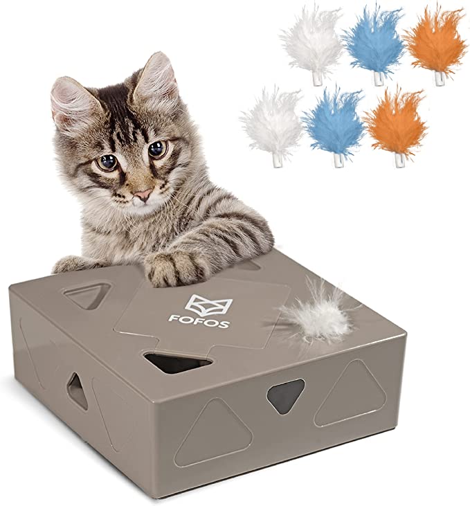 Erraticat Interactive Cat Toy