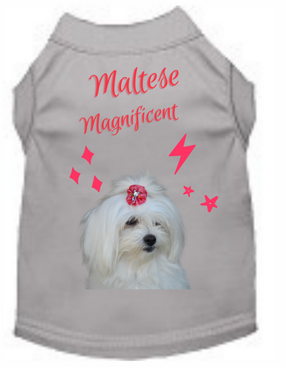 Magnificent Maltese Set