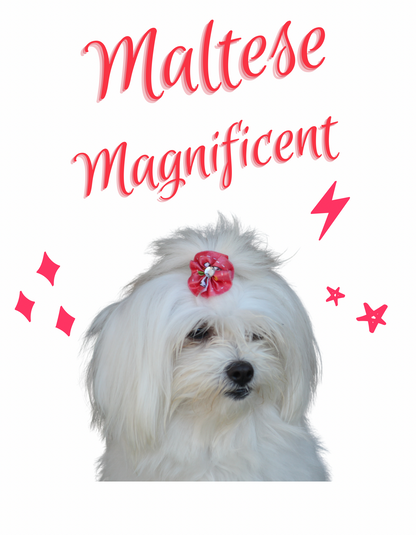 Magnificent Maltese Set