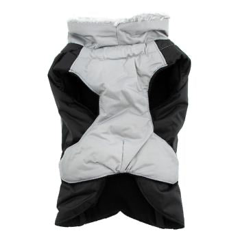 Alpine All-Weather Dog Coat